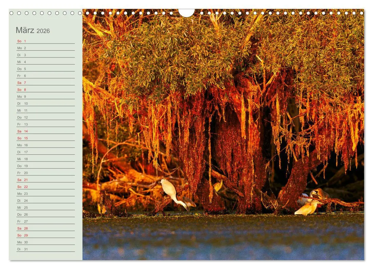 Bild: 9783457684467 | Donaudelta - Tierparadies am Schwarzen Meer (Wandkalender 2026 DIN...