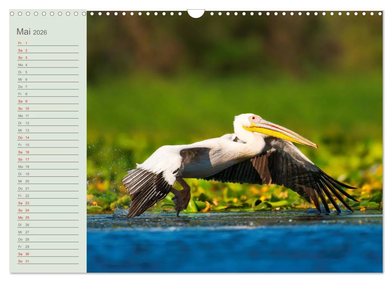 Bild: 9783457684467 | Donaudelta - Tierparadies am Schwarzen Meer (Wandkalender 2026 DIN...