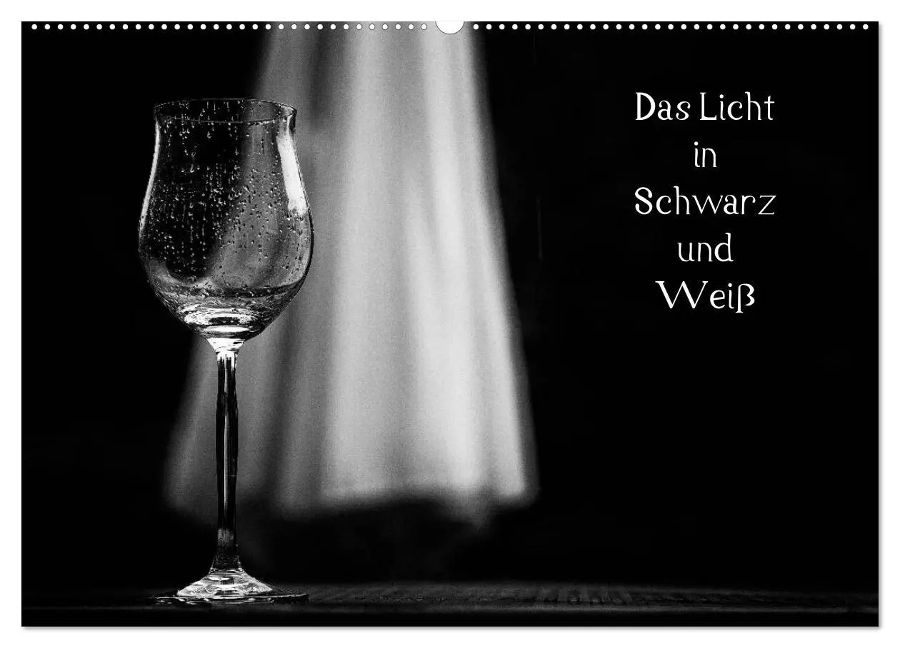 Cover: 9783516154467 | Das Licht in Schwarz und Weiß (Wandkalender 2026 DIN A2 quer),...