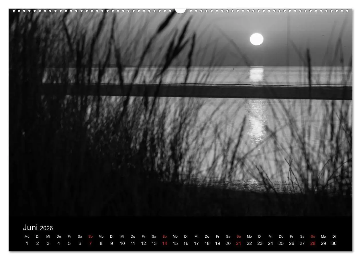 Bild: 9783516154467 | Das Licht in Schwarz und Weiß (Wandkalender 2026 DIN A2 quer),...