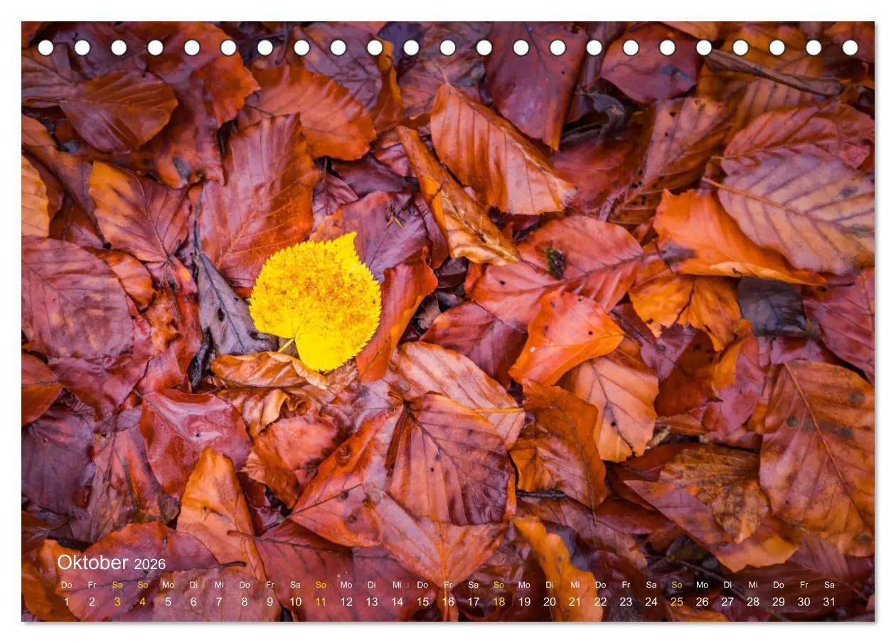 Bild: 9783457594667 | Landschaften und Natur 2026 (Tischkalender 2026 DIN A5 quer),...
