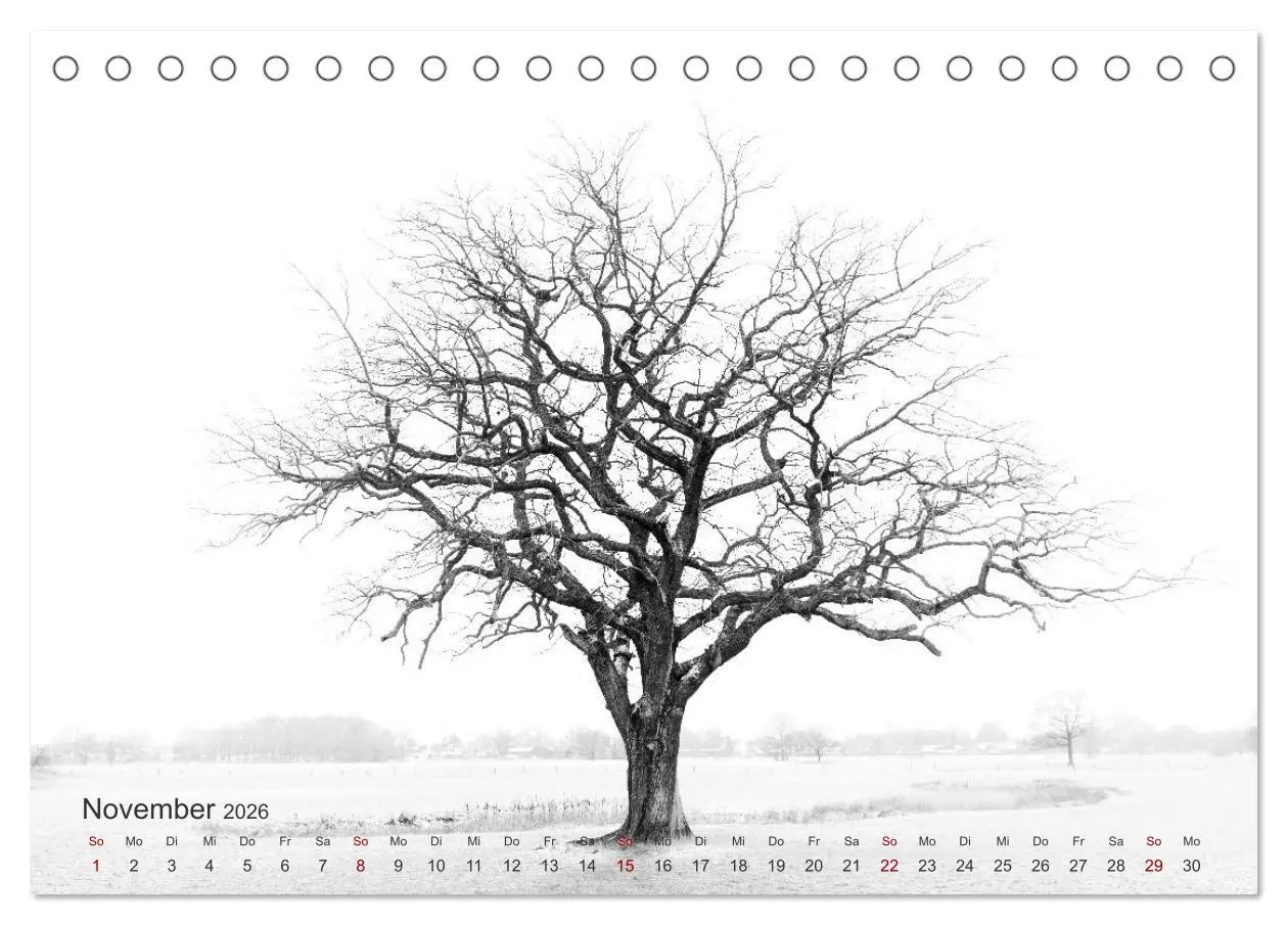 Bild: 9783457594667 | Landschaften und Natur 2026 (Tischkalender 2026 DIN A5 quer),...