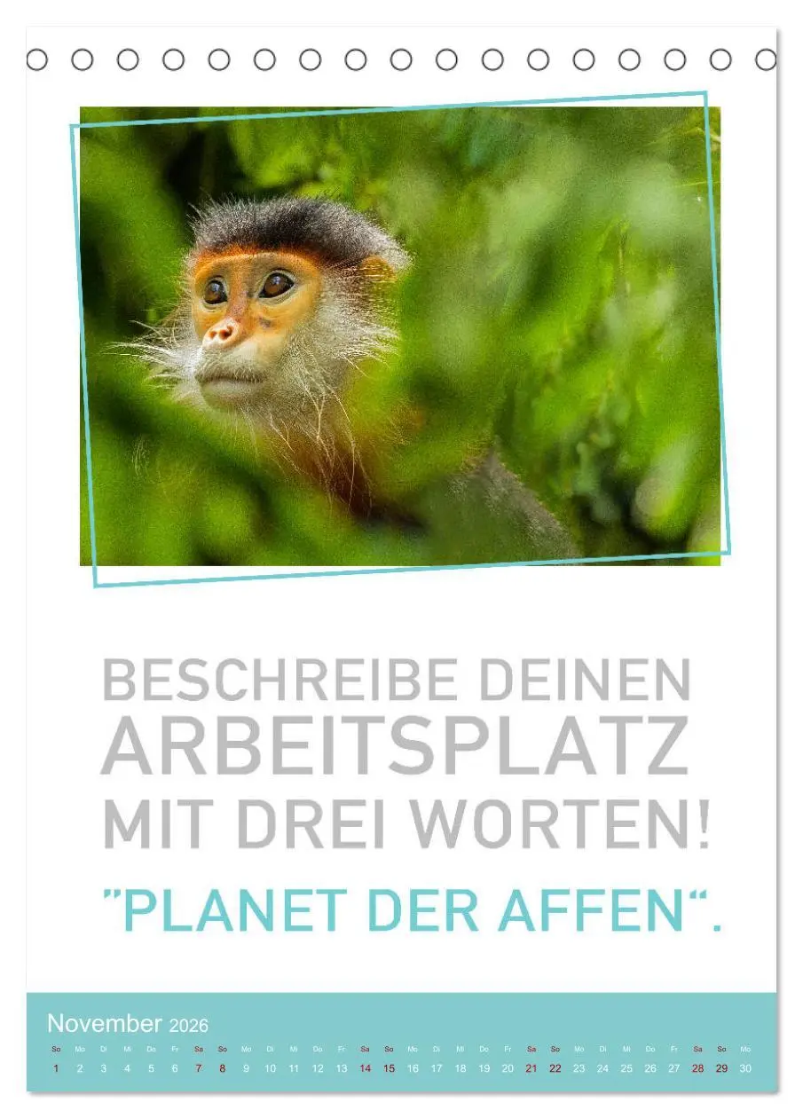 Bild: 9783516374667 | Tierisch bekloppt! (Tischkalender 2026 DIN A5 hoch), CALVENDO...