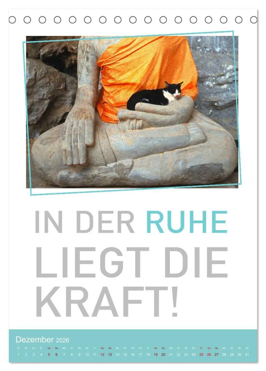 Bild: 9783516374667 | Tierisch bekloppt! (Tischkalender 2026 DIN A5 hoch), CALVENDO...