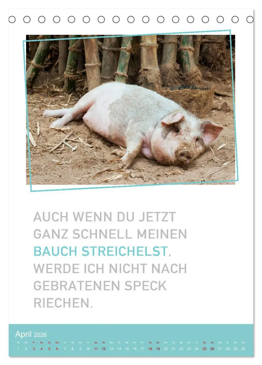 Bild: 9783516374667 | Tierisch bekloppt! (Tischkalender 2026 DIN A5 hoch), CALVENDO...