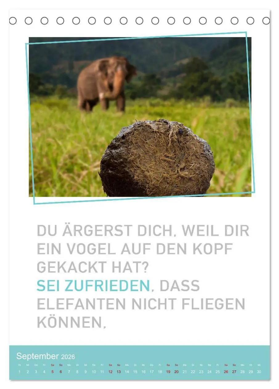 Bild: 9783516374667 | Tierisch bekloppt! (Tischkalender 2026 DIN A5 hoch), CALVENDO...