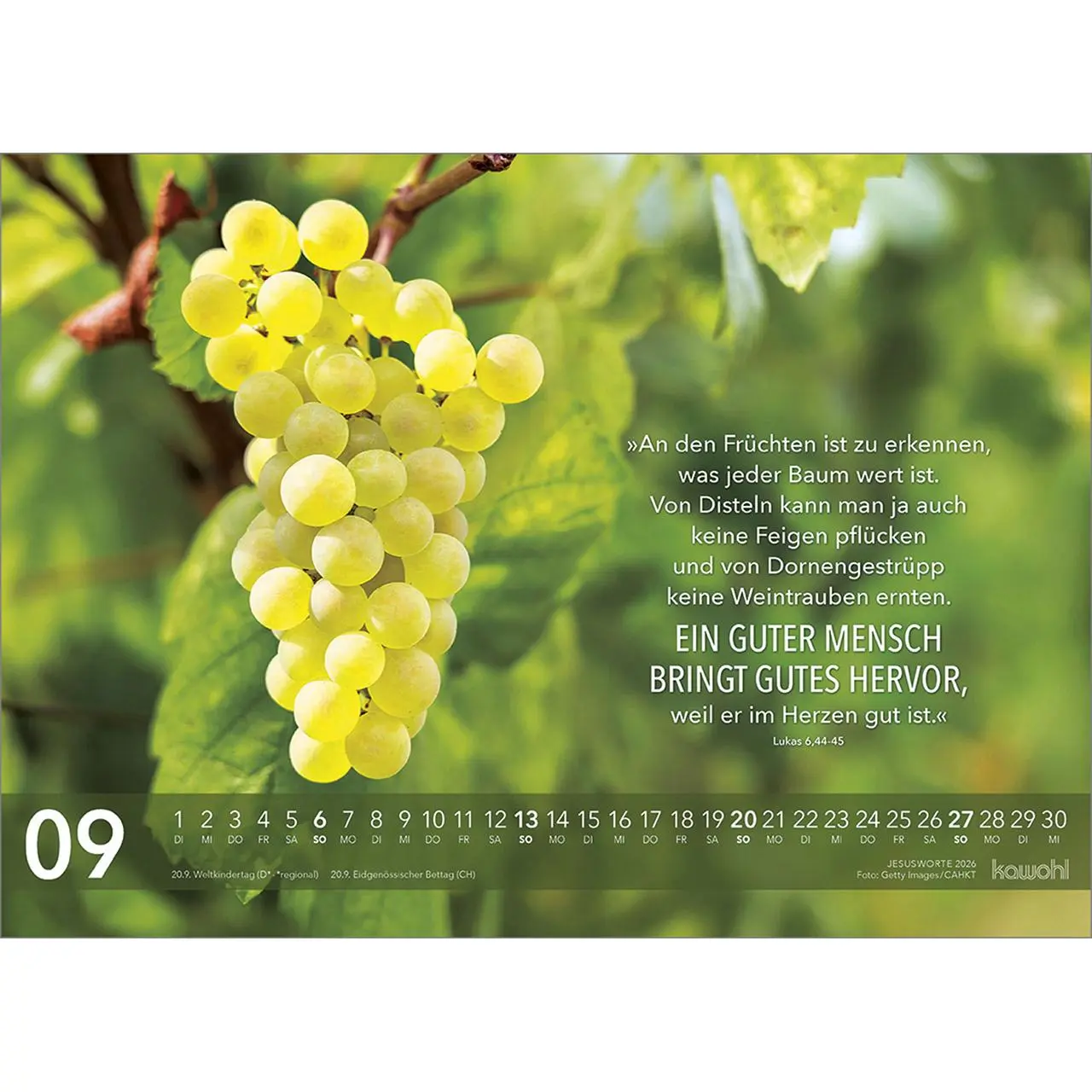 Bild: 9783754804667 | Jesus Worte 2026 | Wegweisende Worte und brillante Bilder | Kalender