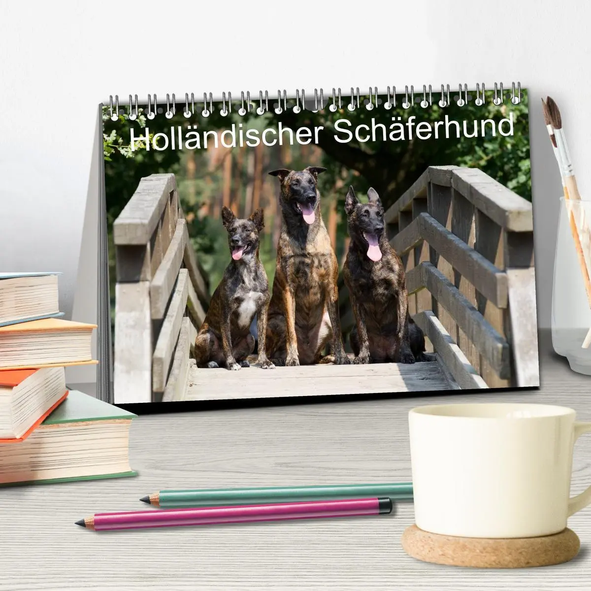 Bild: 9783516124767 | Holländischer Schäferhund (Tischkalender 2026 DIN A5 quer),...