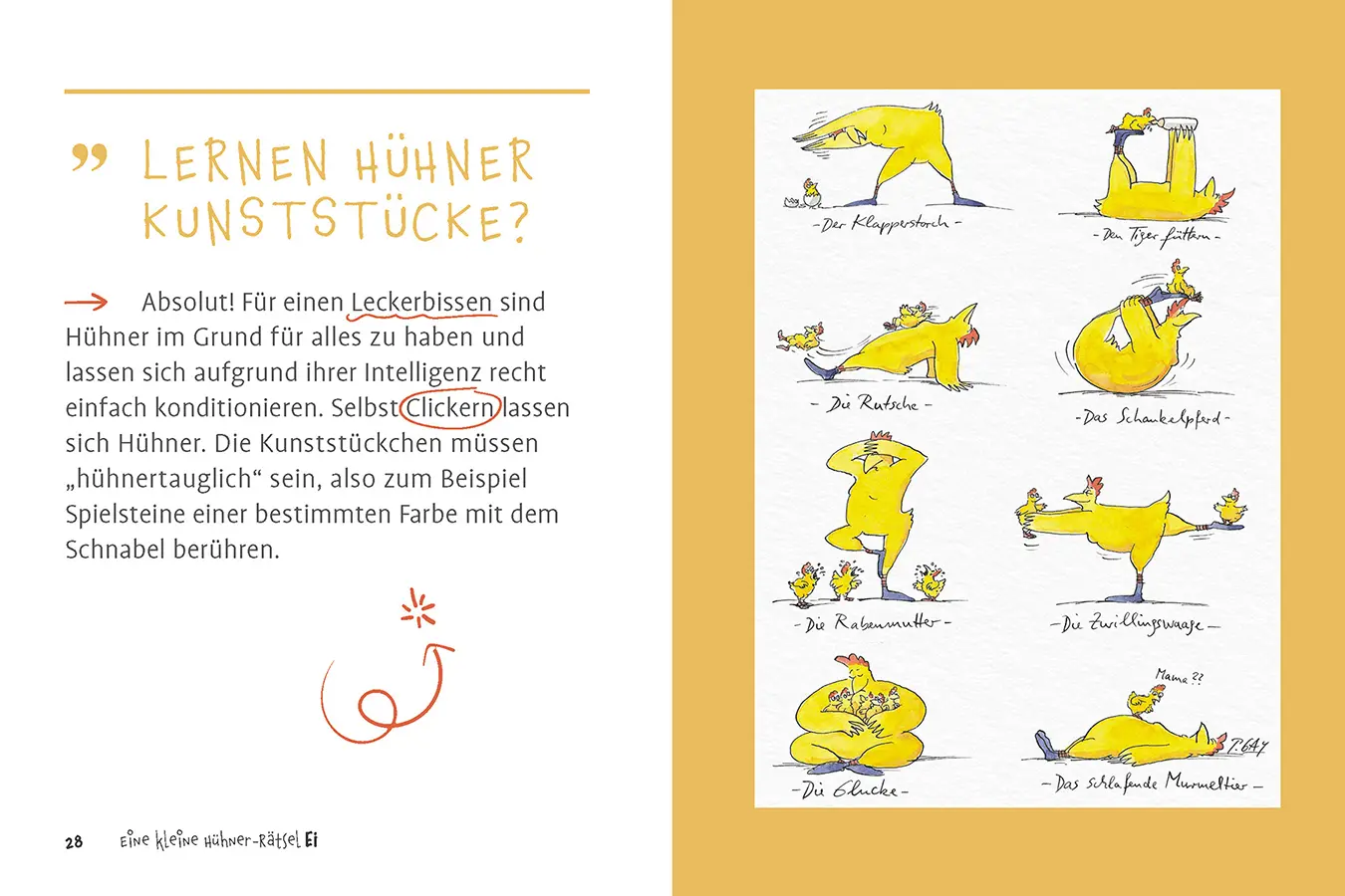 Bild: 9783818624767 | Eine kleine Hühner-RätselEI | 50 verrückte Fragen rund ums Huhn | Buch