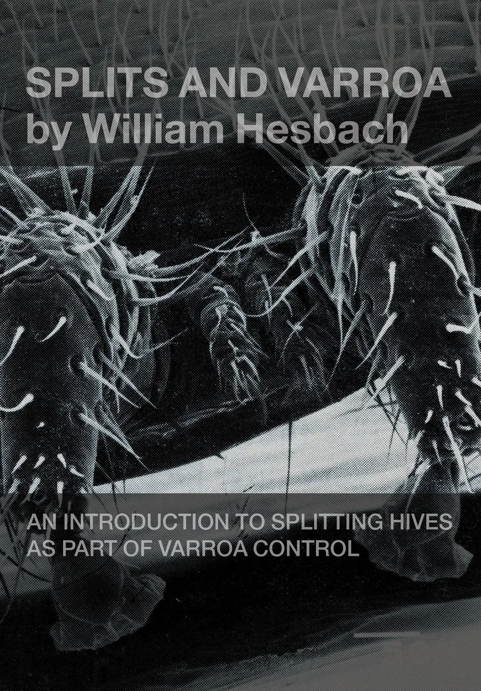 Cover: 9781908904867 | Splits and Varroa | William Hesbach | Taschenbuch | Englisch | 2016