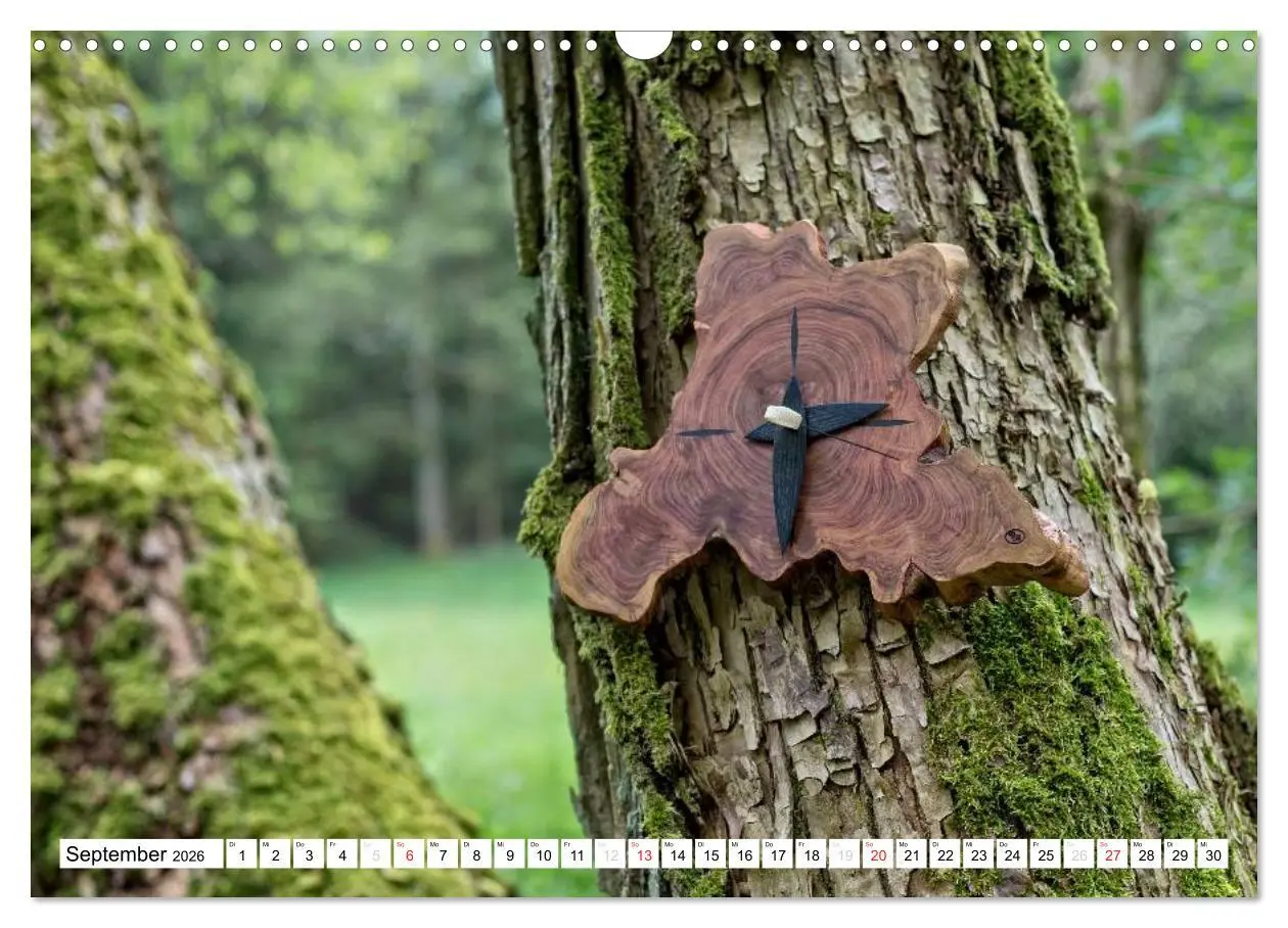Bild: 9783457944967 | Holz enttäuscht nie (Wandkalender 2026 DIN A3 quer), CALVENDO...