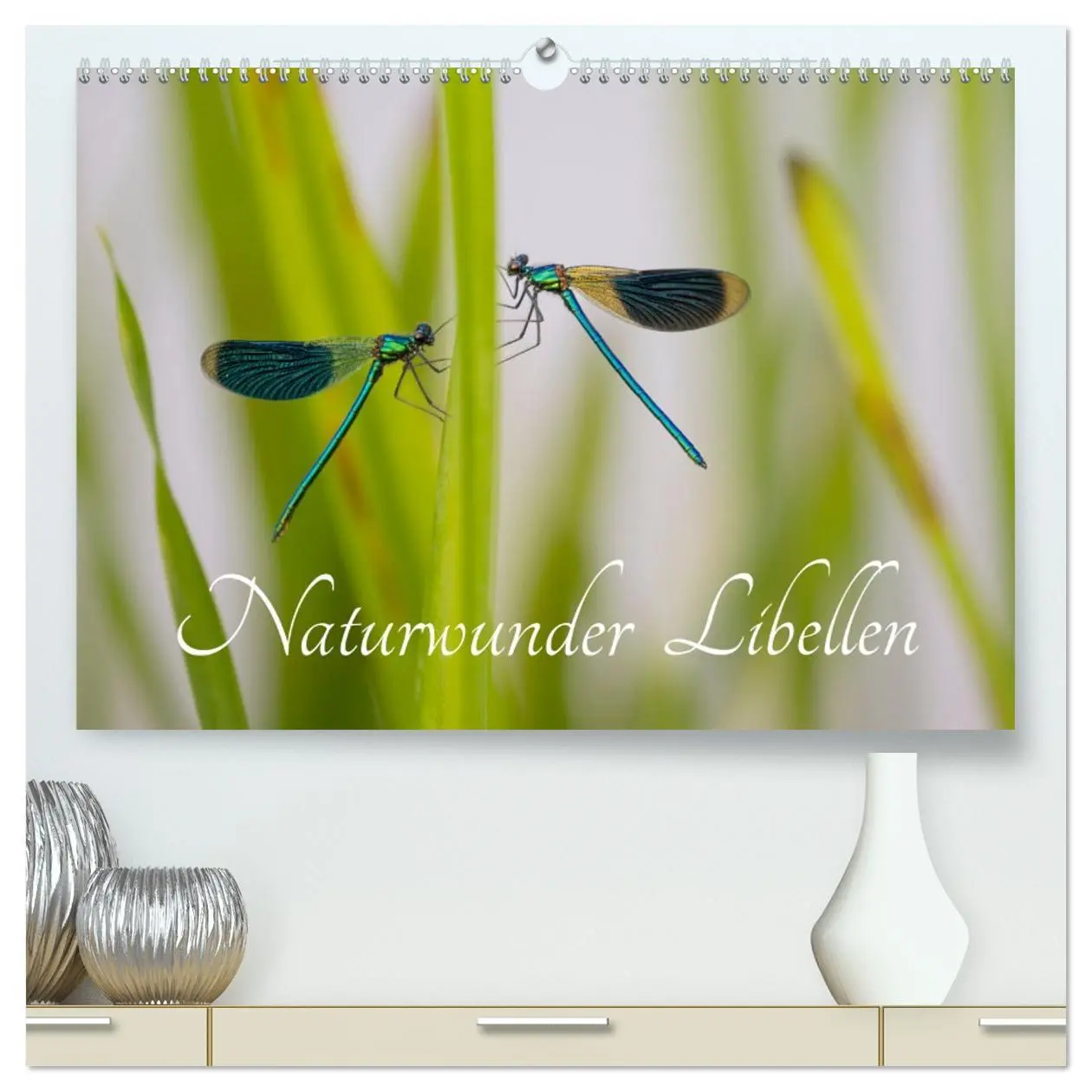 Cover: 9783516235067 | Naturwunder Libellen (hochwertiger Premium Wandkalender 2026 DIN A2...