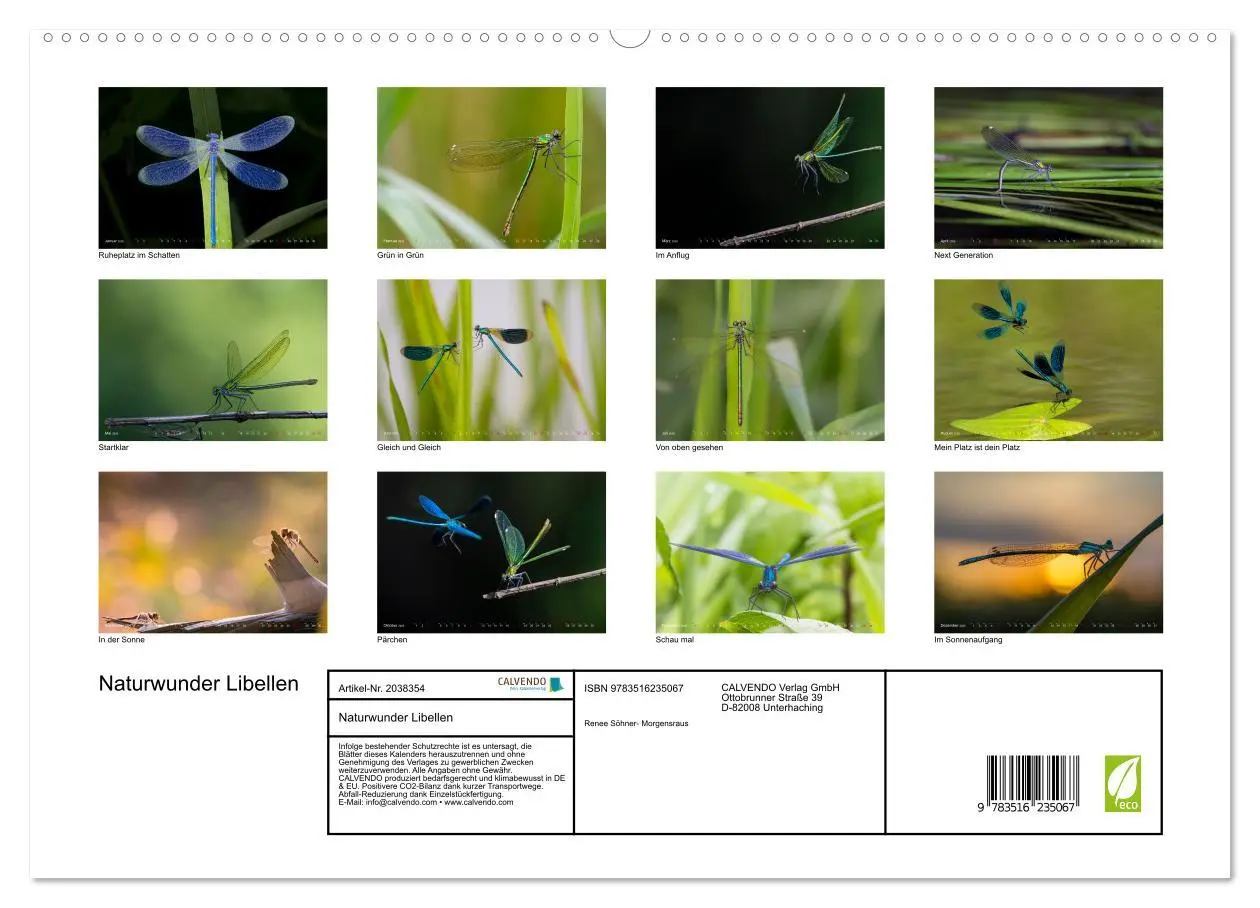 Bild: 9783516235067 | Naturwunder Libellen (hochwertiger Premium Wandkalender 2026 DIN A2...