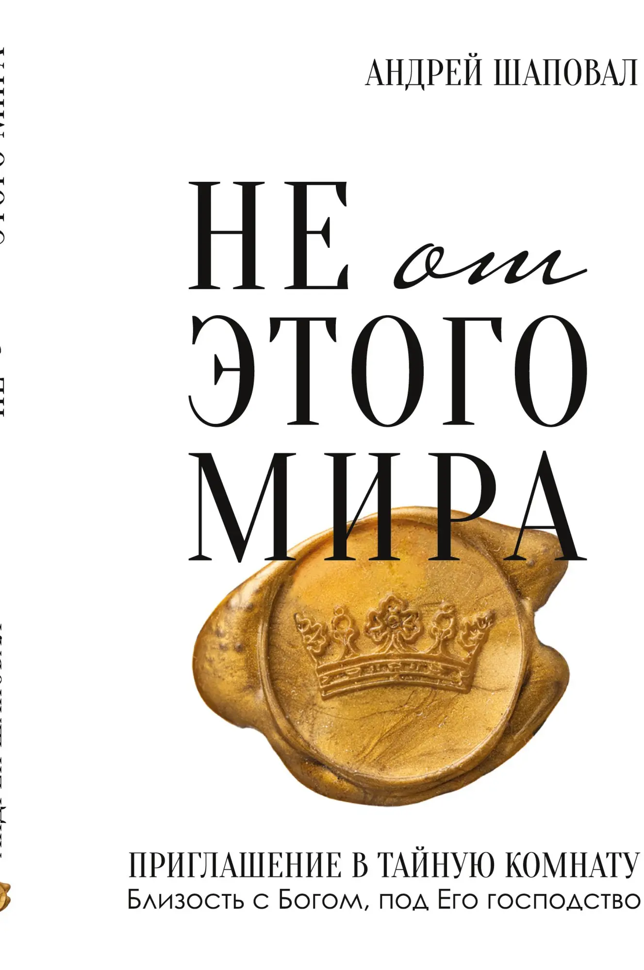 Cover: 9798989365067 | Not of This World (Russian edition) | ¿¿ ¿¿ ¿¿¿¿¿ ¿¿¿¿ | Buch | 2024