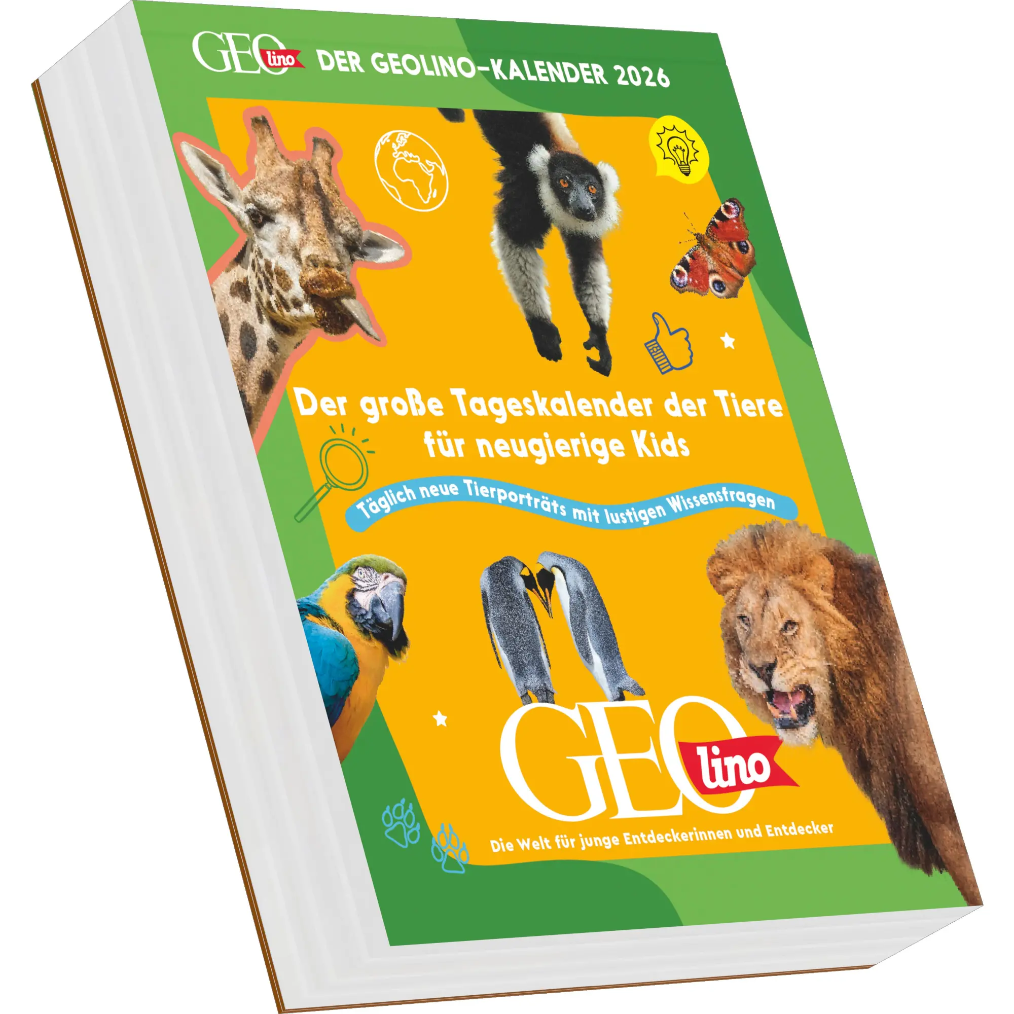 Cover: 4069095005167 | Der GEOlino-Kalender Der große Tageskalender der Tiere für...