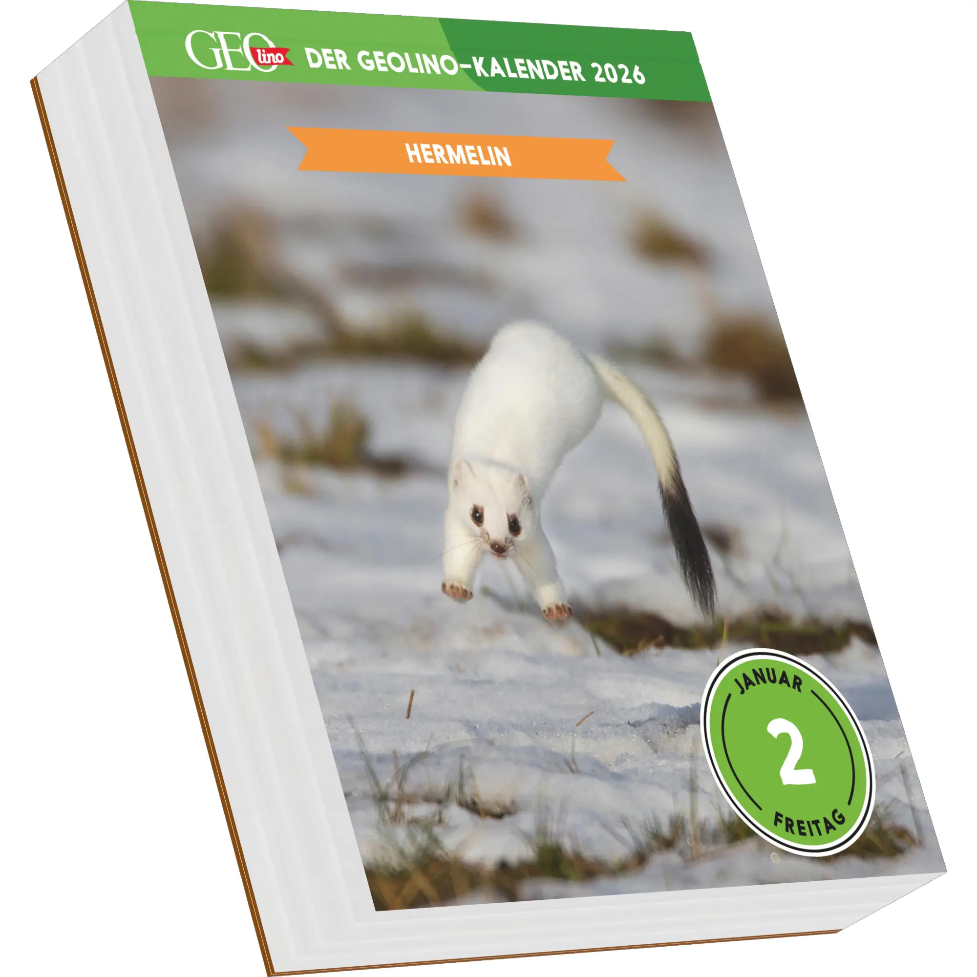 Bild: 4069095005167 | Der GEOlino-Kalender Der große Tageskalender der Tiere für...