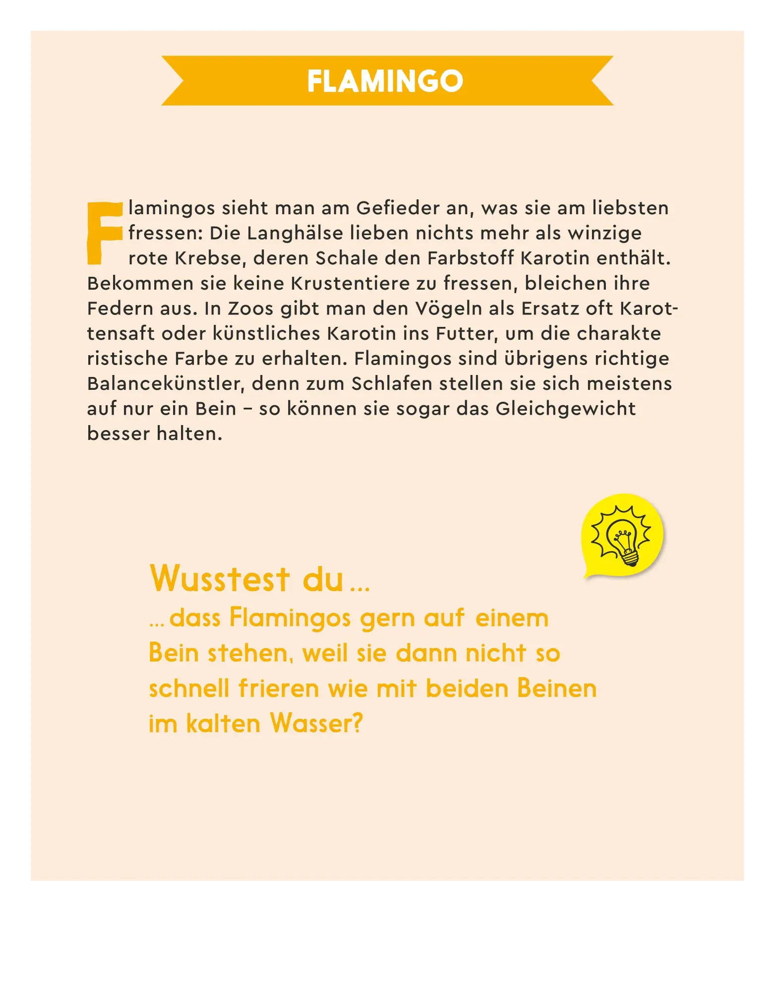 Bild: 4069095005167 | Der GEOlino-Kalender Der große Tageskalender der Tiere für...