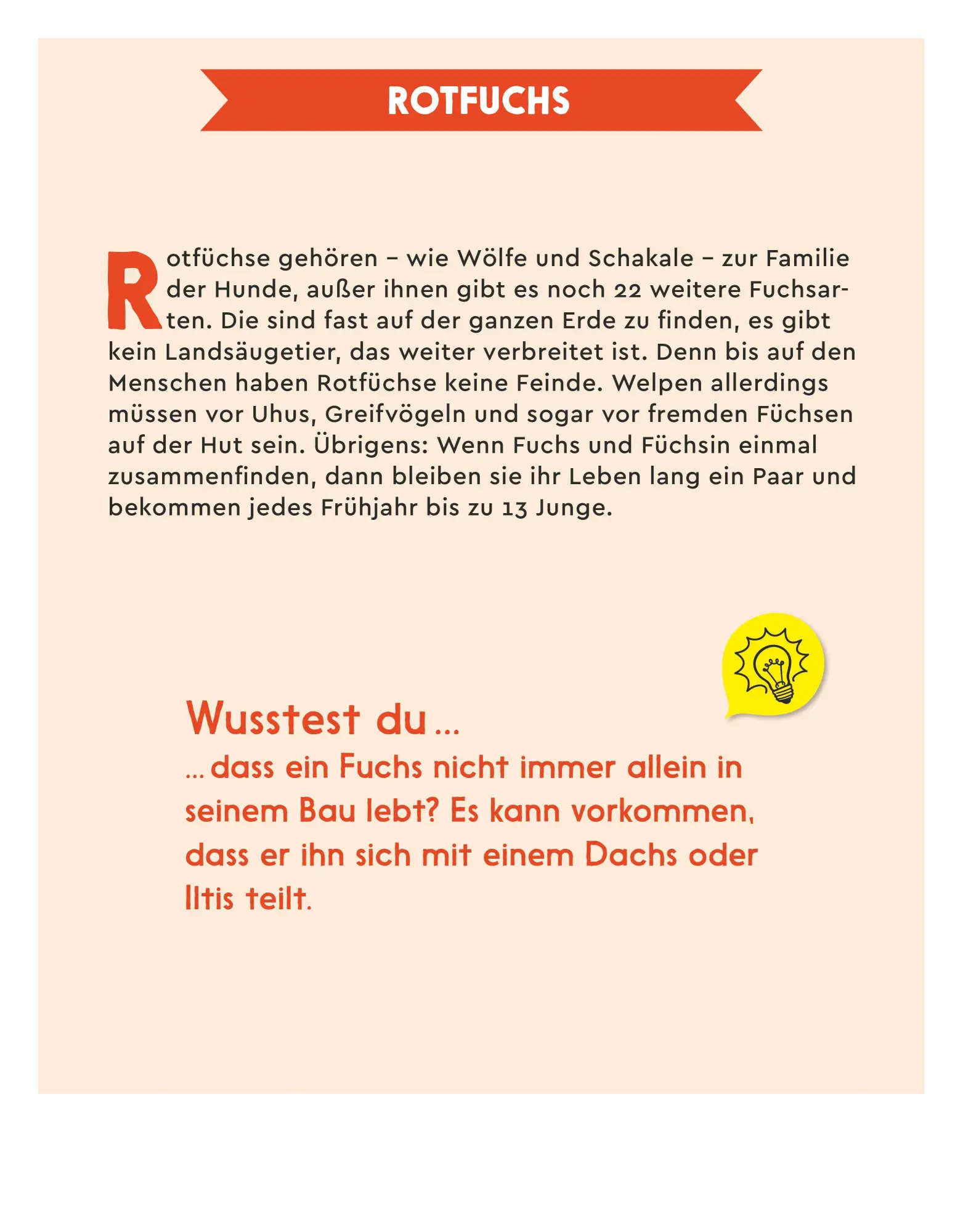 Bild: 4069095005167 | Der GEOlino-Kalender Der große Tageskalender der Tiere für...