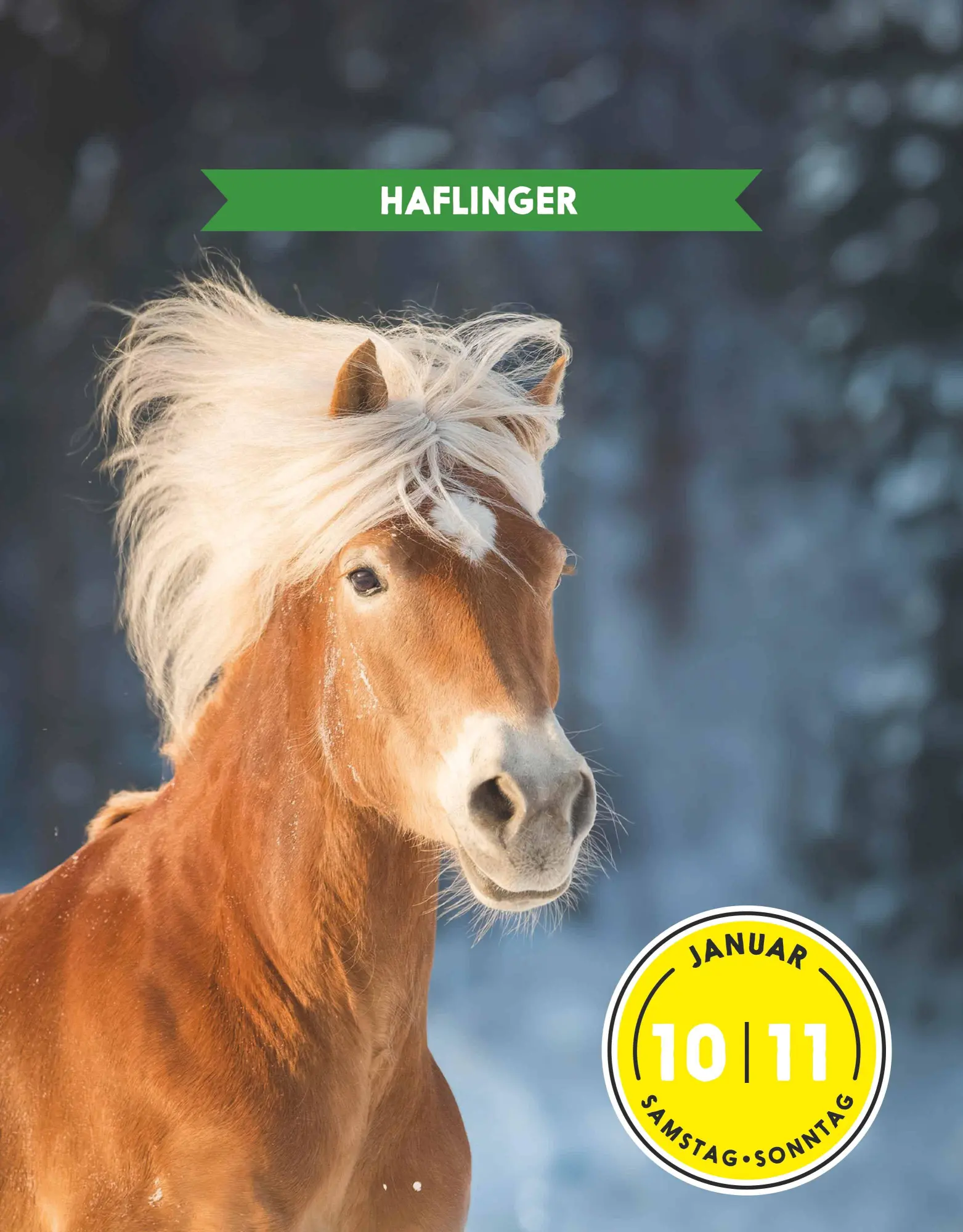 Bild: 4069095005167 | Der GEOlino-Kalender Der große Tageskalender der Tiere für...