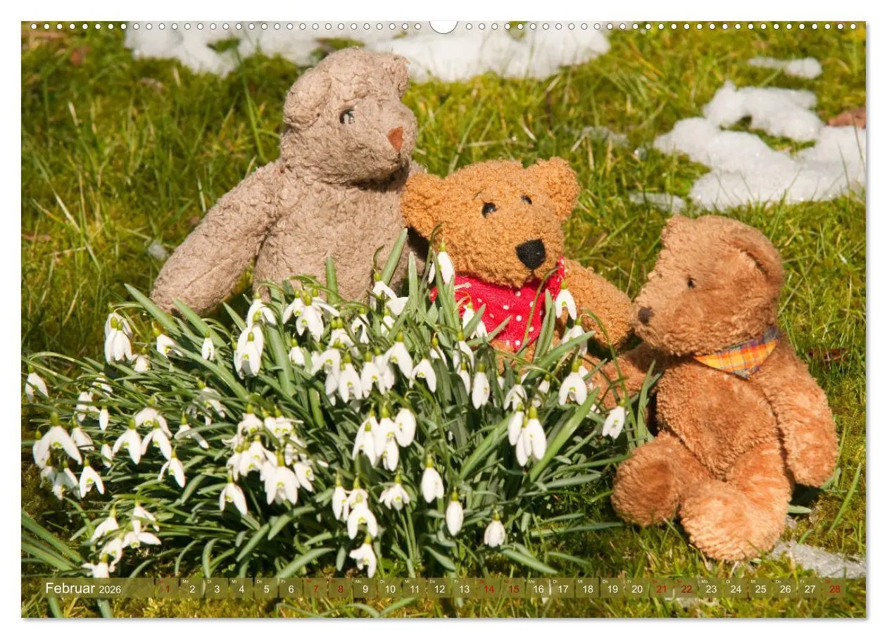 Bild: 9783457755167 | Kunterbunte Bärenwelt - Teddys (hochwertiger Premium Wandkalender...