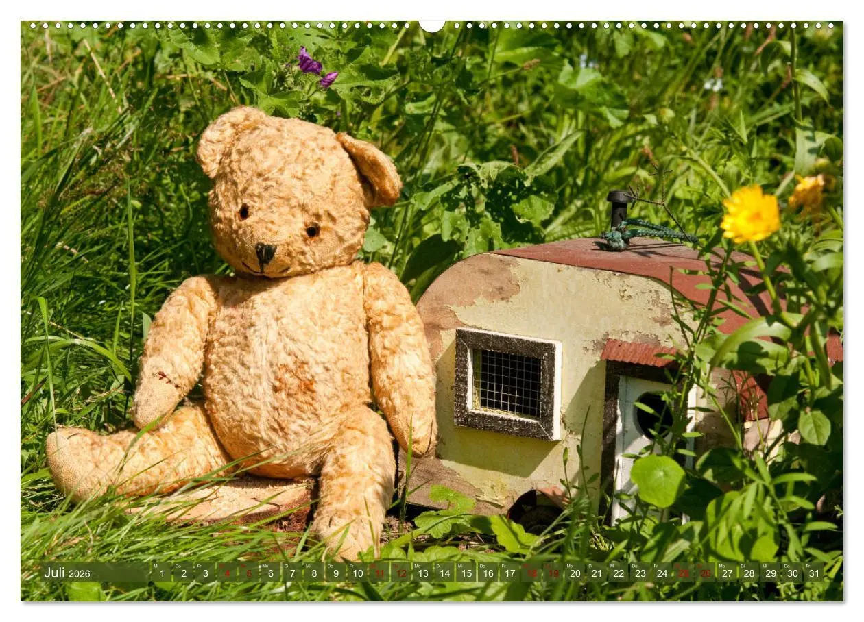 Bild: 9783457755167 | Kunterbunte Bärenwelt - Teddys (hochwertiger Premium Wandkalender...