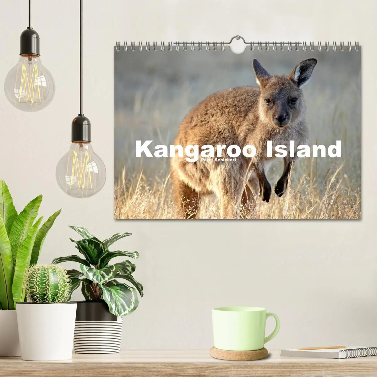 Bild: 9783516225167 | Kangaroo Island (Wandkalender 2026 DIN A4 quer), CALVENDO...