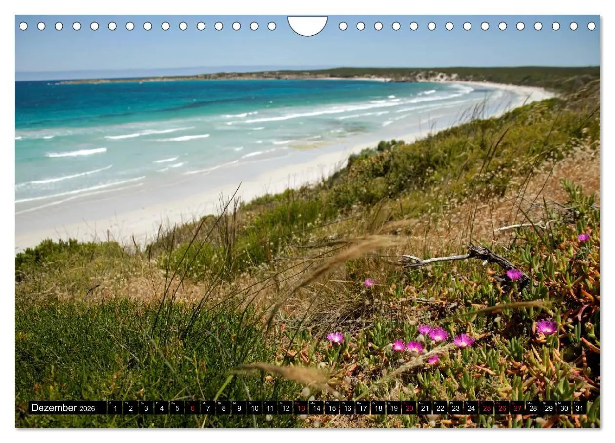 Bild: 9783516225167 | Kangaroo Island (Wandkalender 2026 DIN A4 quer), CALVENDO...