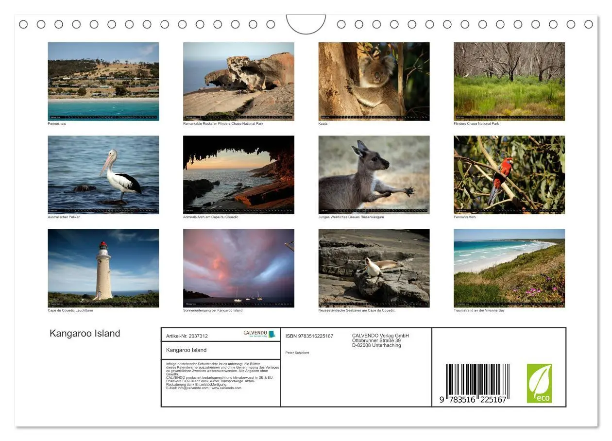 Bild: 9783516225167 | Kangaroo Island (Wandkalender 2026 DIN A4 quer), CALVENDO...