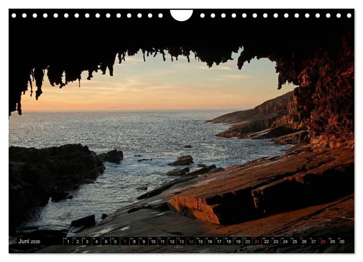 Bild: 9783516225167 | Kangaroo Island (Wandkalender 2026 DIN A4 quer), CALVENDO...