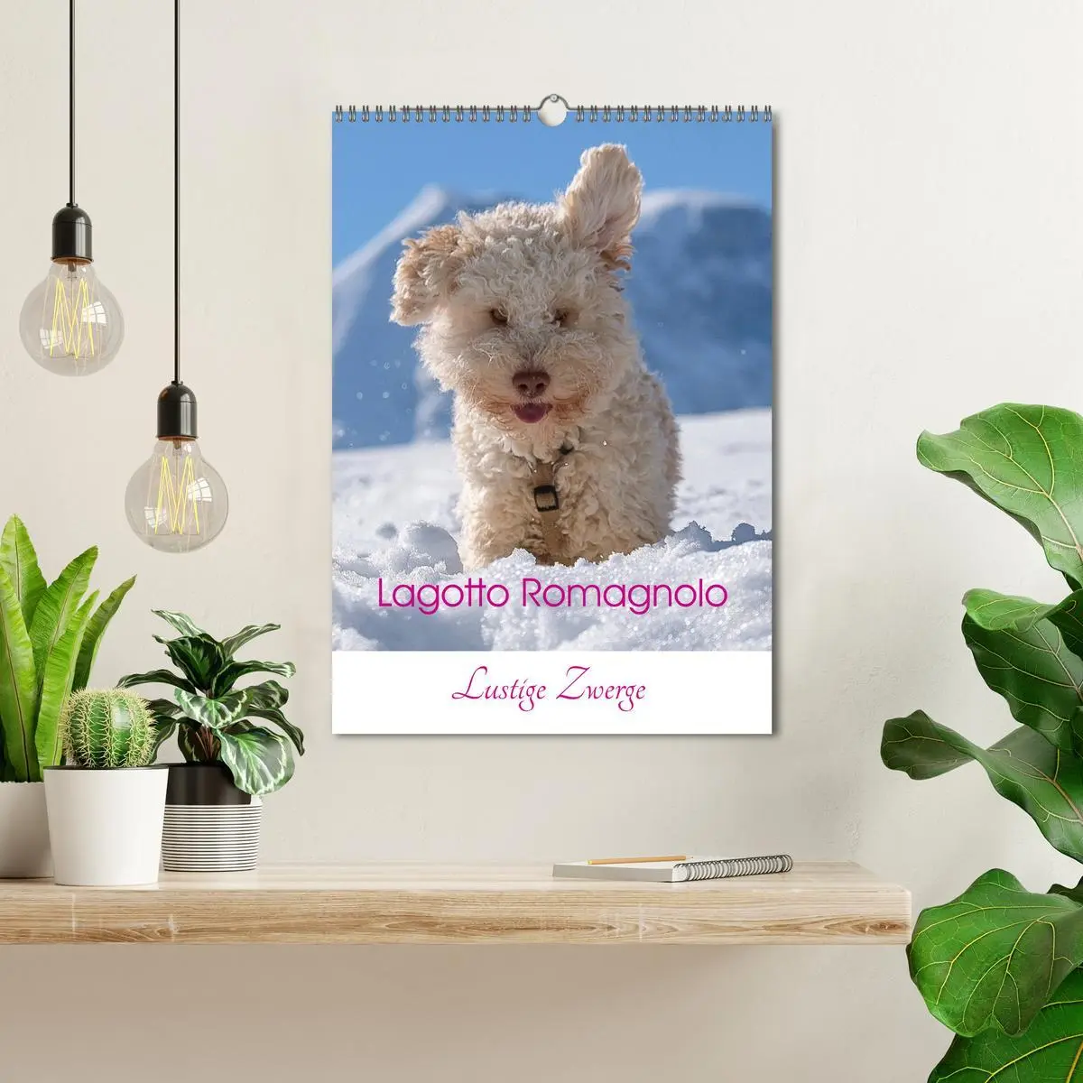 Bild: 9783516395167 | Lagotto Romagnolo - Lustige Zwerge (Wandkalender 2026 DIN A3 hoch),...