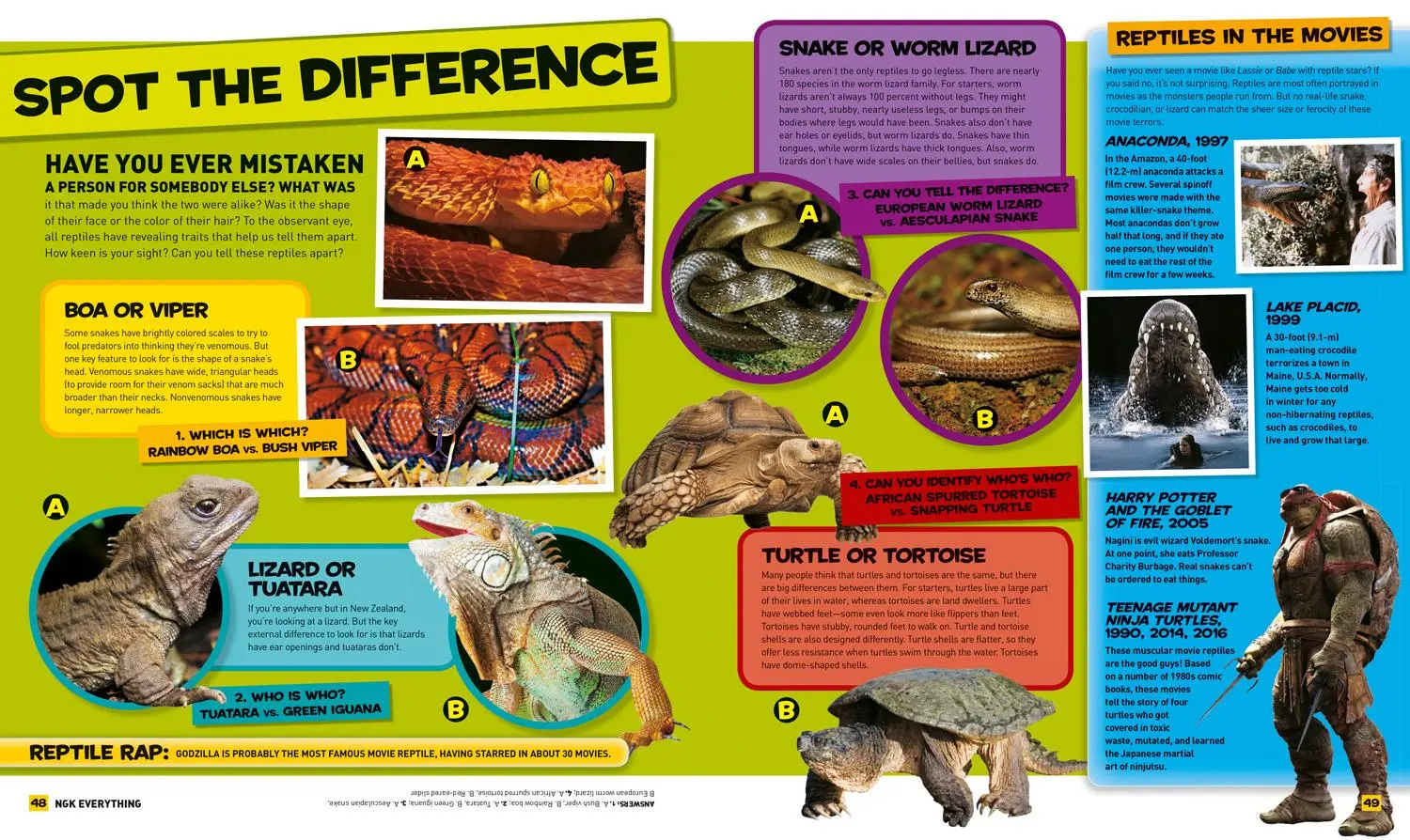 Bild: 9781426325267 | National Geographic Kids Everything Reptiles | Blake Hoena | Buch
