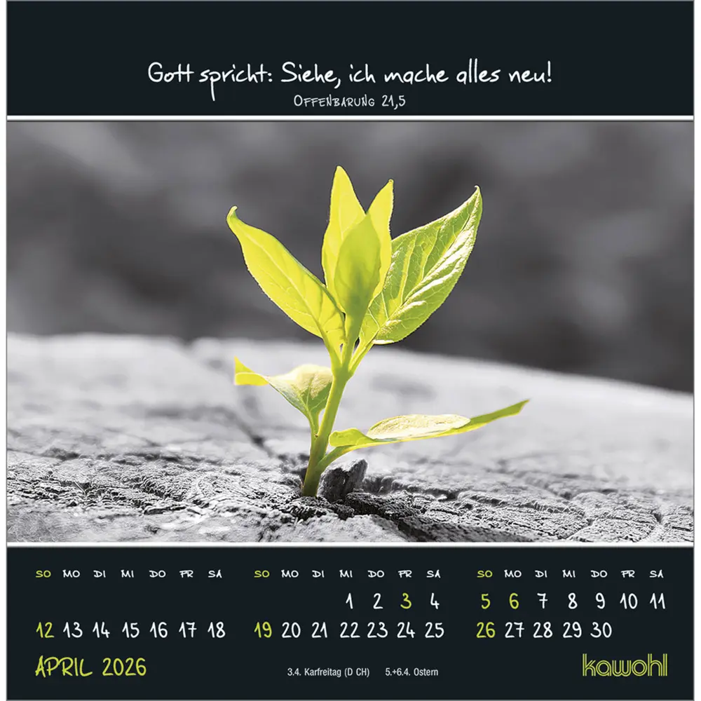 Bild: 9783754815267 | Kleine Wunder sehen 2026 | Postkarten-Kalender mit christlichen Texten