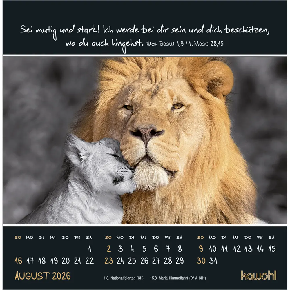 Bild: 9783754815267 | Kleine Wunder sehen 2026 | Postkarten-Kalender mit christlichen Texten