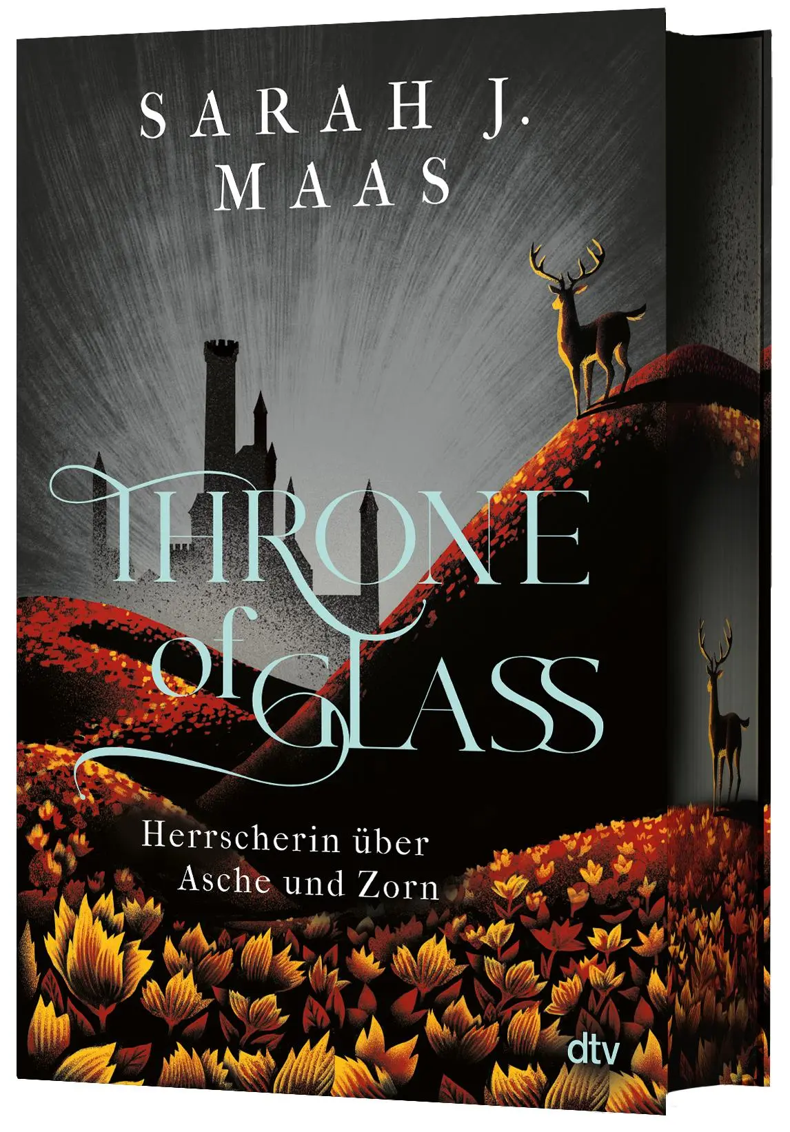 Cover: 9783423765367 | Throne of Glass - Herrscherin über Asche und Zorn | Sarah J. Maas