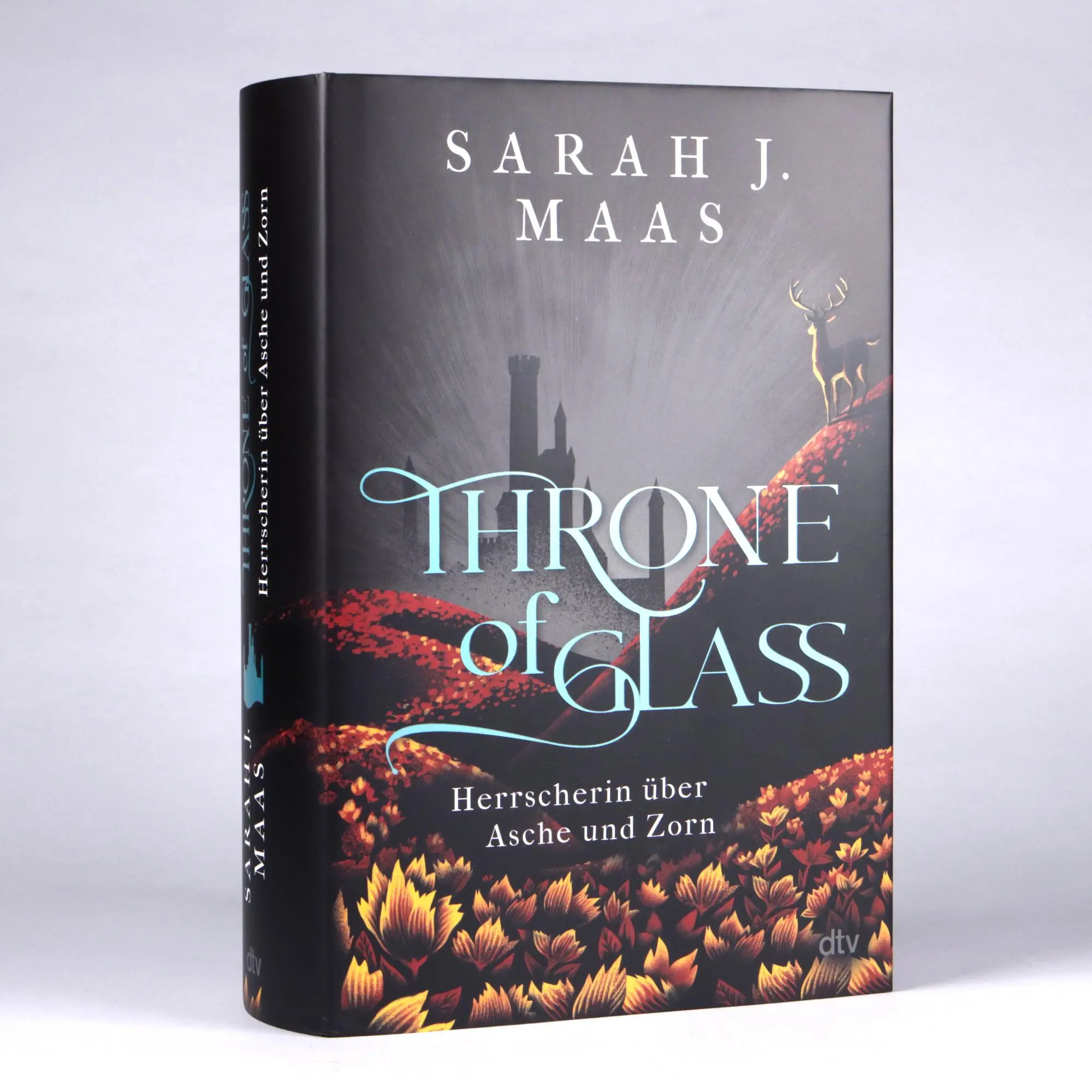Bild: 9783423765367 | Throne of Glass - Herrscherin über Asche und Zorn | Sarah J. Maas