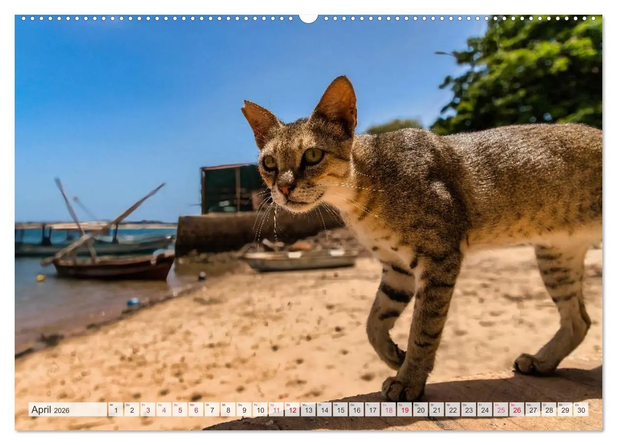 Bild: 9783457425367 | lamu - eintauchen in eine andere Welt vor der Küste Kenias...