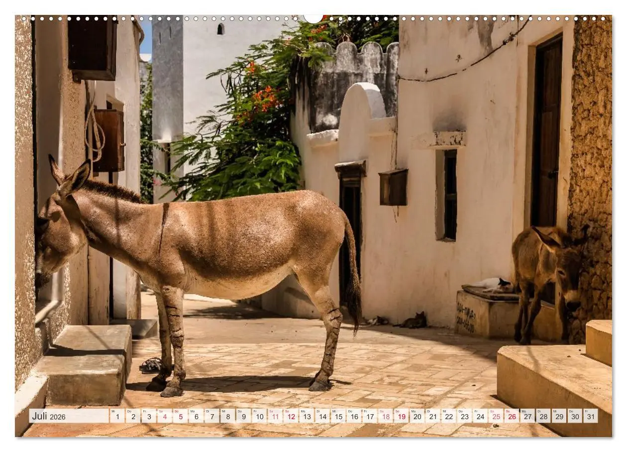 Bild: 9783457425367 | lamu - eintauchen in eine andere Welt vor der Küste Kenias...