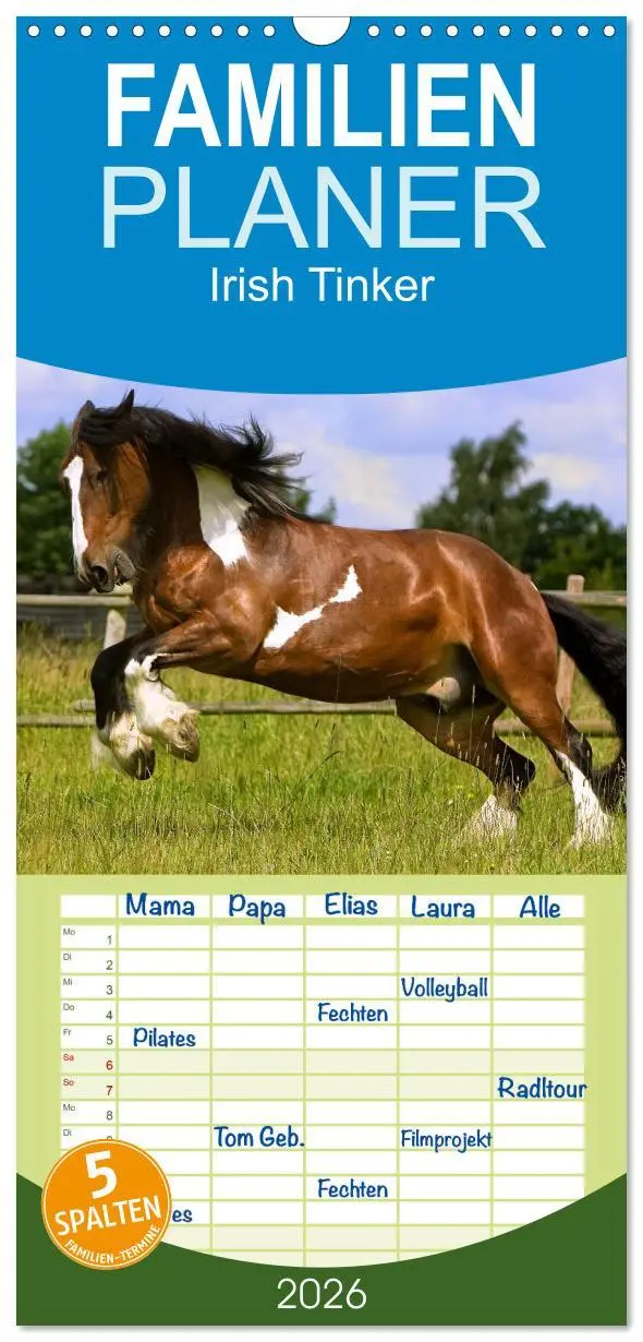 Cover: 9783516515367 | Familienplaner 2026 - Irish Tinker mit 5 Spalten (Wandkalender, 21...