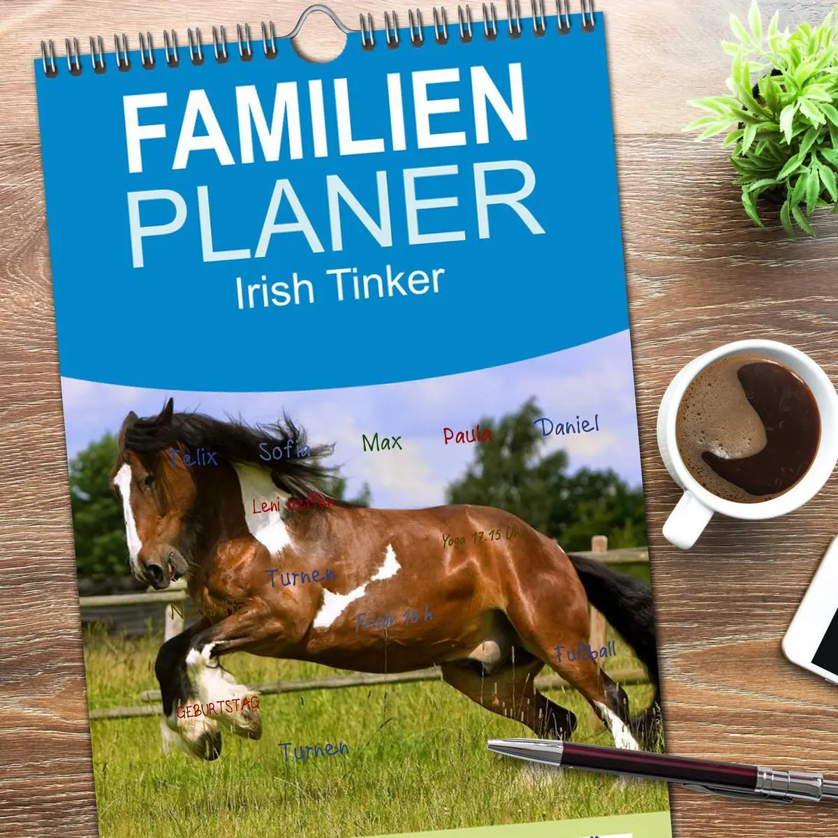 Bild: 9783516515367 | Familienplaner 2026 - Irish Tinker mit 5 Spalten (Wandkalender, 21...