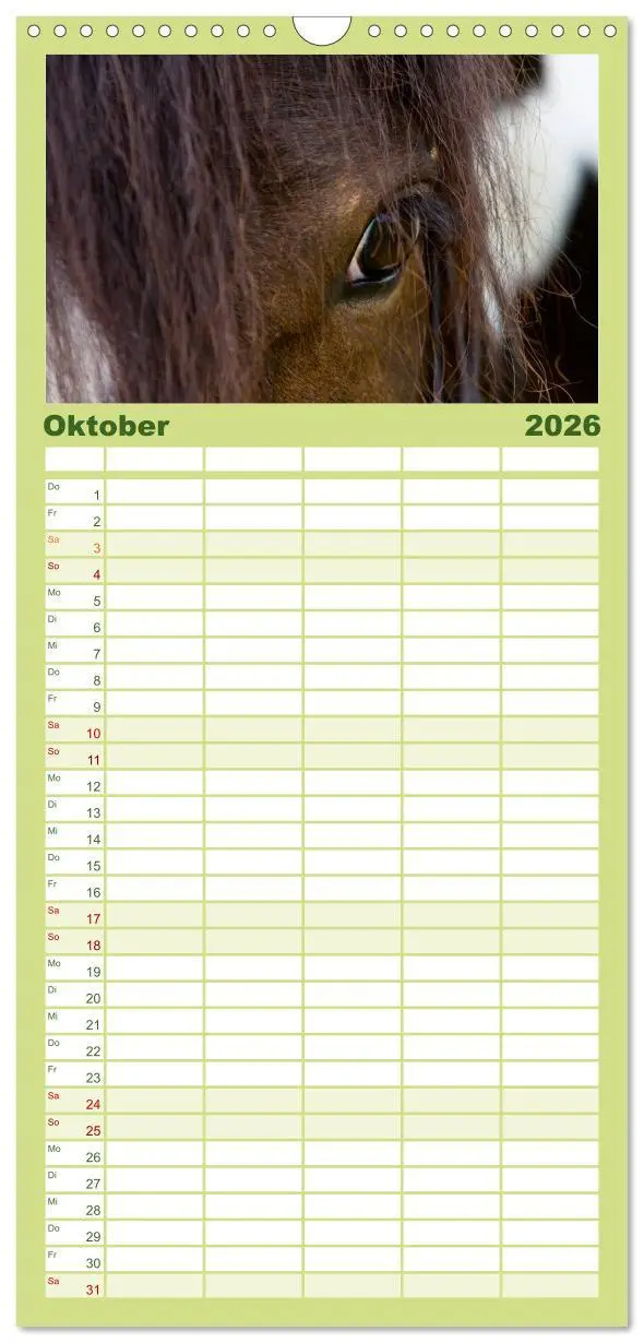 Bild: 9783516515367 | Familienplaner 2026 - Irish Tinker mit 5 Spalten (Wandkalender, 21...