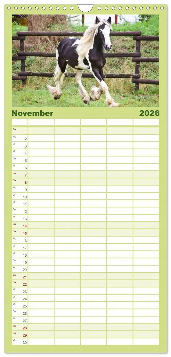 Bild: 9783516515367 | Familienplaner 2026 - Irish Tinker mit 5 Spalten (Wandkalender, 21...