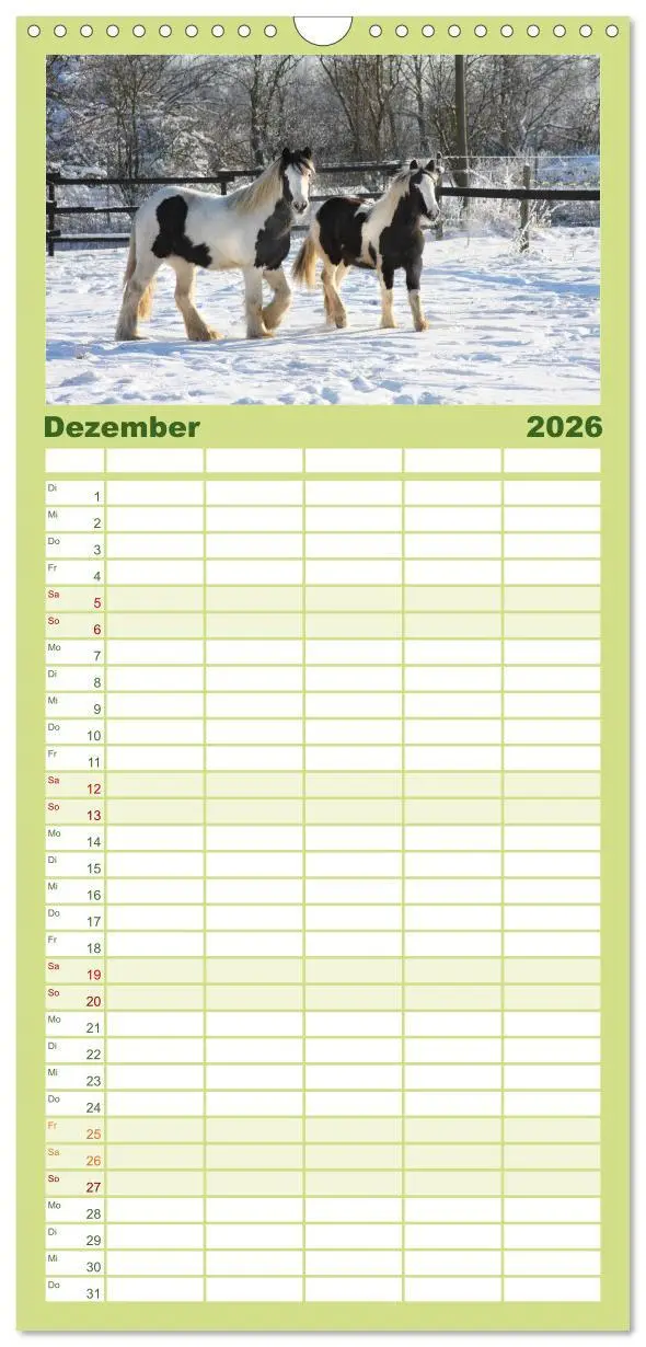 Bild: 9783516515367 | Familienplaner 2026 - Irish Tinker mit 5 Spalten (Wandkalender, 21...
