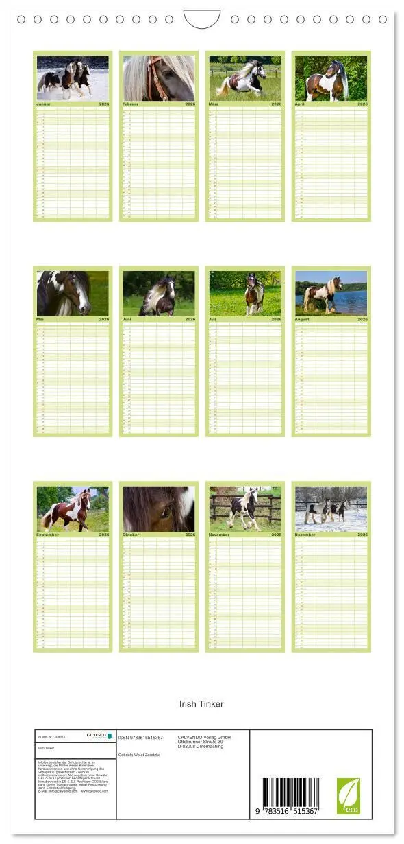 Bild: 9783516515367 | Familienplaner 2026 - Irish Tinker mit 5 Spalten (Wandkalender, 21...