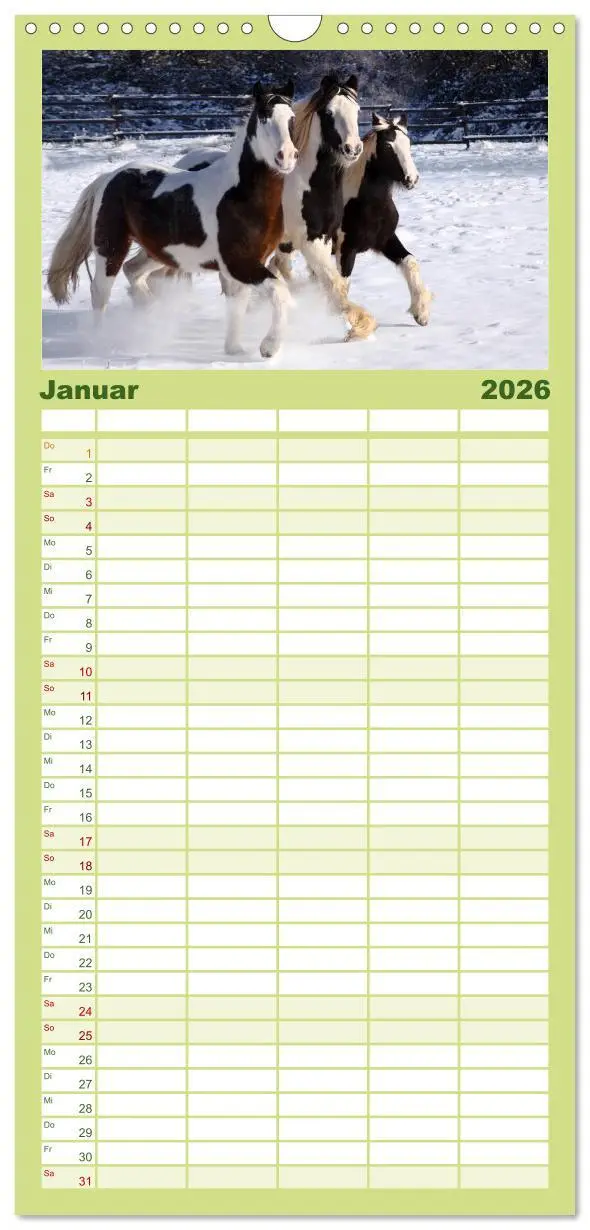 Bild: 9783516515367 | Familienplaner 2026 - Irish Tinker mit 5 Spalten (Wandkalender, 21...