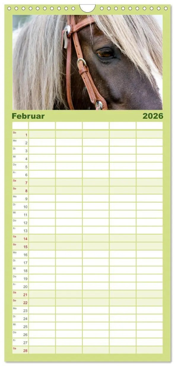 Bild: 9783516515367 | Familienplaner 2026 - Irish Tinker mit 5 Spalten (Wandkalender, 21...