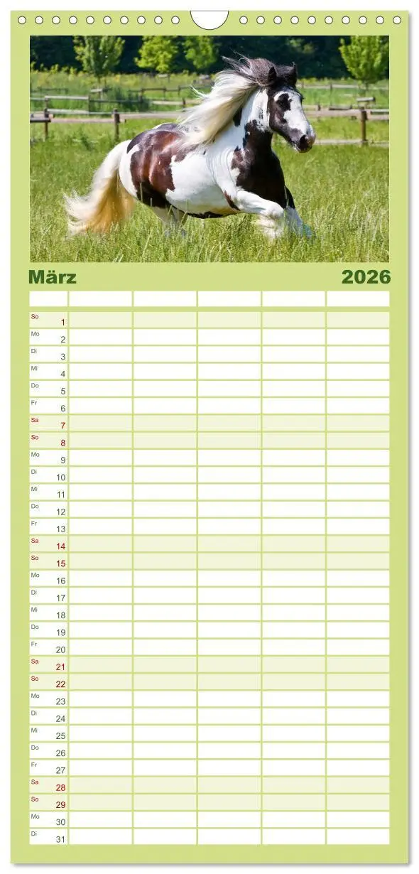 Bild: 9783516515367 | Familienplaner 2026 - Irish Tinker mit 5 Spalten (Wandkalender, 21...