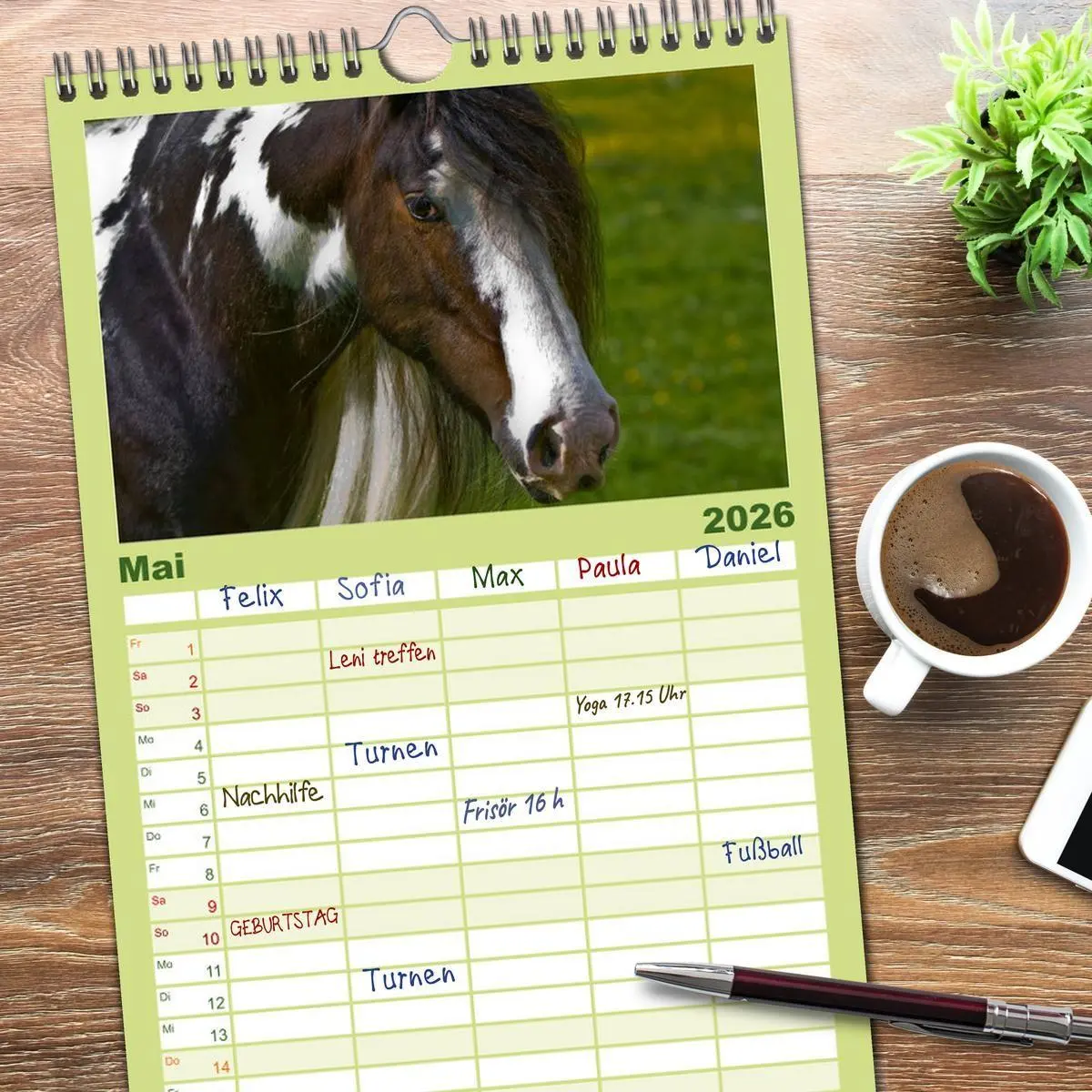 Bild: 9783516515367 | Familienplaner 2026 - Irish Tinker mit 5 Spalten (Wandkalender, 21...