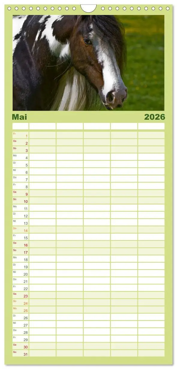 Bild: 9783516515367 | Familienplaner 2026 - Irish Tinker mit 5 Spalten (Wandkalender, 21...