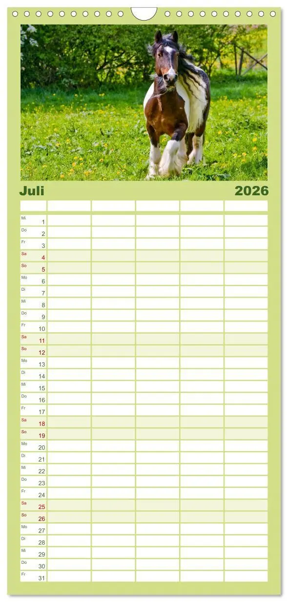 Bild: 9783516515367 | Familienplaner 2026 - Irish Tinker mit 5 Spalten (Wandkalender, 21...