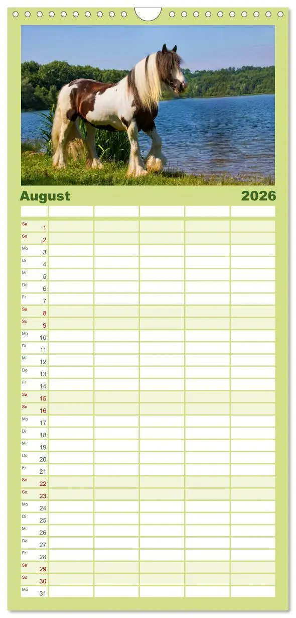 Bild: 9783516515367 | Familienplaner 2026 - Irish Tinker mit 5 Spalten (Wandkalender, 21...